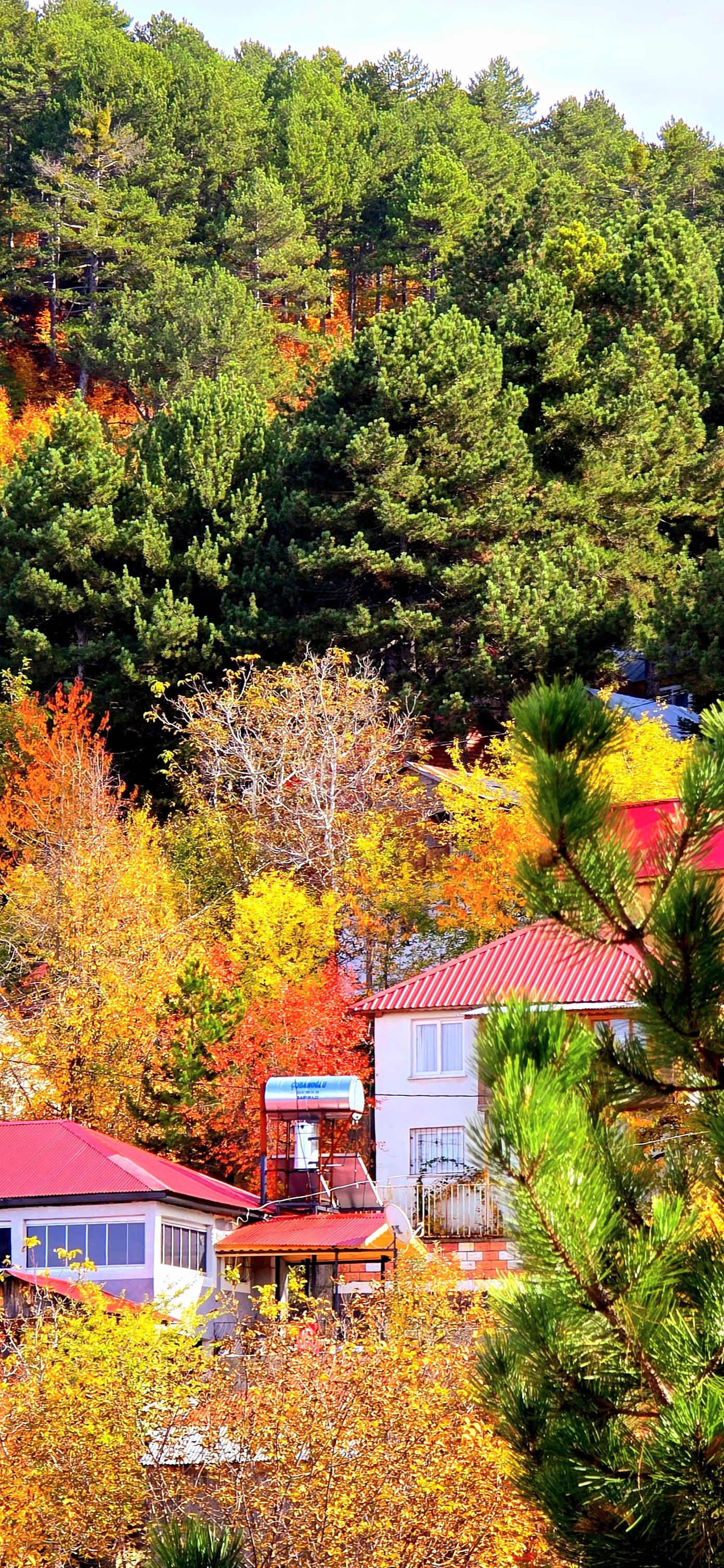 Zorkun Yaylası’nda Bahratın Gözü Büyülüyor3