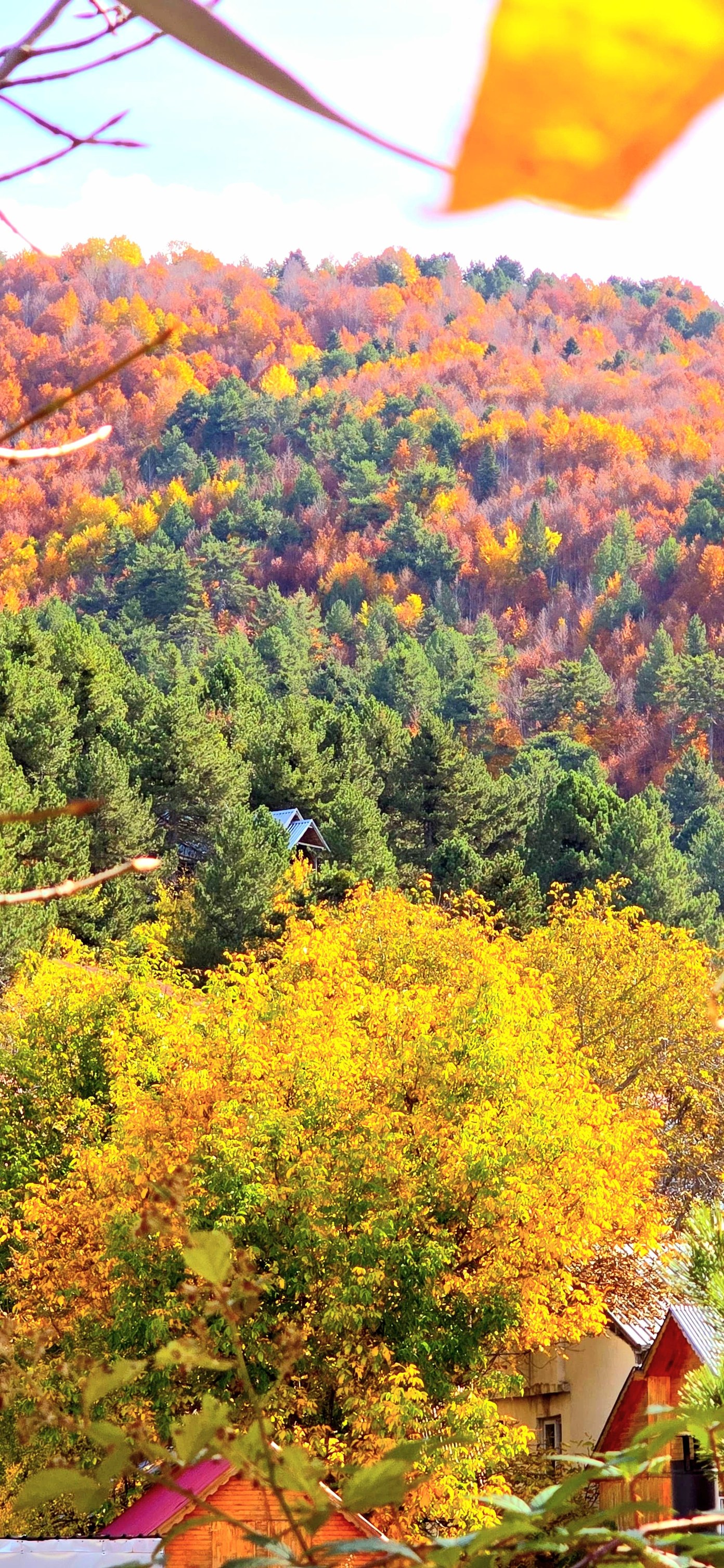 Zorkun Yaylası’nda Bahratın Gözü Büyülüyor4