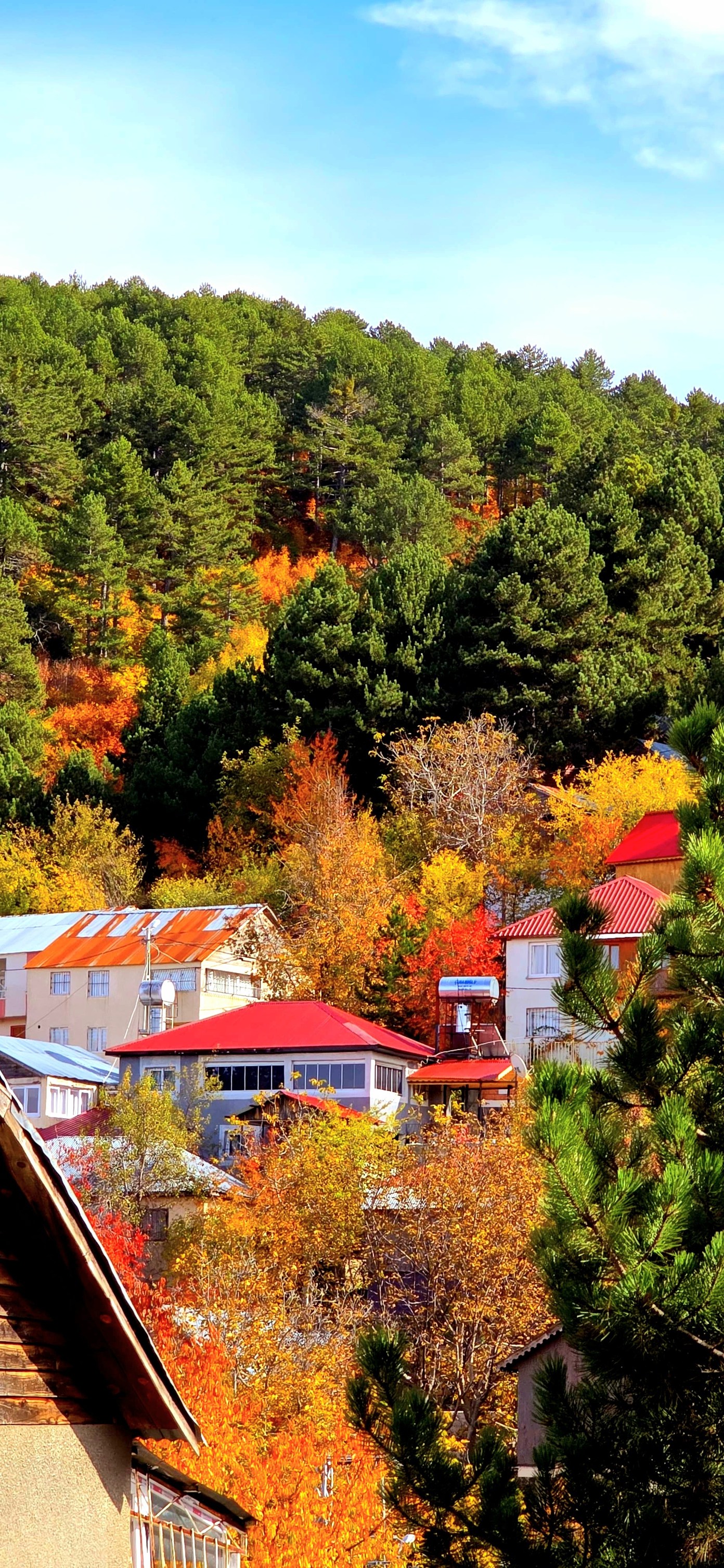Zorkun Yaylası’nda Bahratın Gözü Büyülüyor5