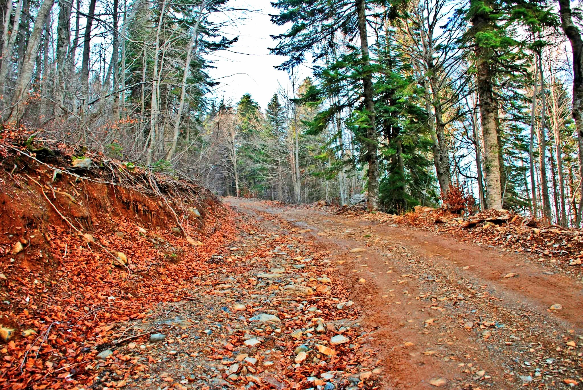 Zorkun Yaylası’nda Sonbaharın Renkleri Yerini Kış Güzelliğine Bıraktı (2)