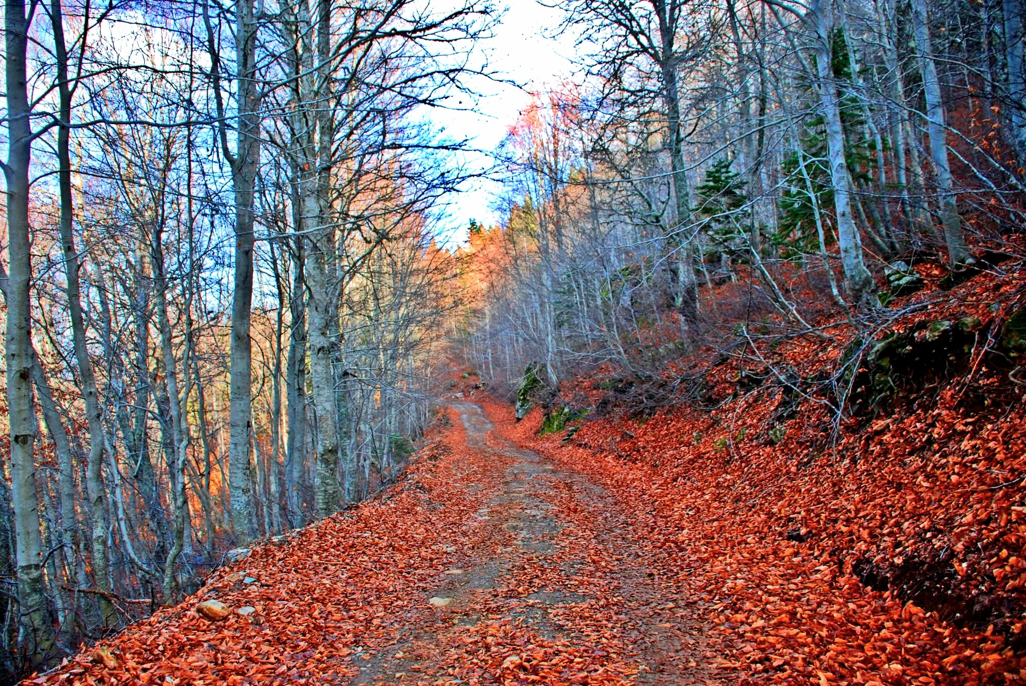 Zorkun Yaylası’nda Sonbaharın Renkleri Yerini Kış Güzelliğine Bıraktı (3)
