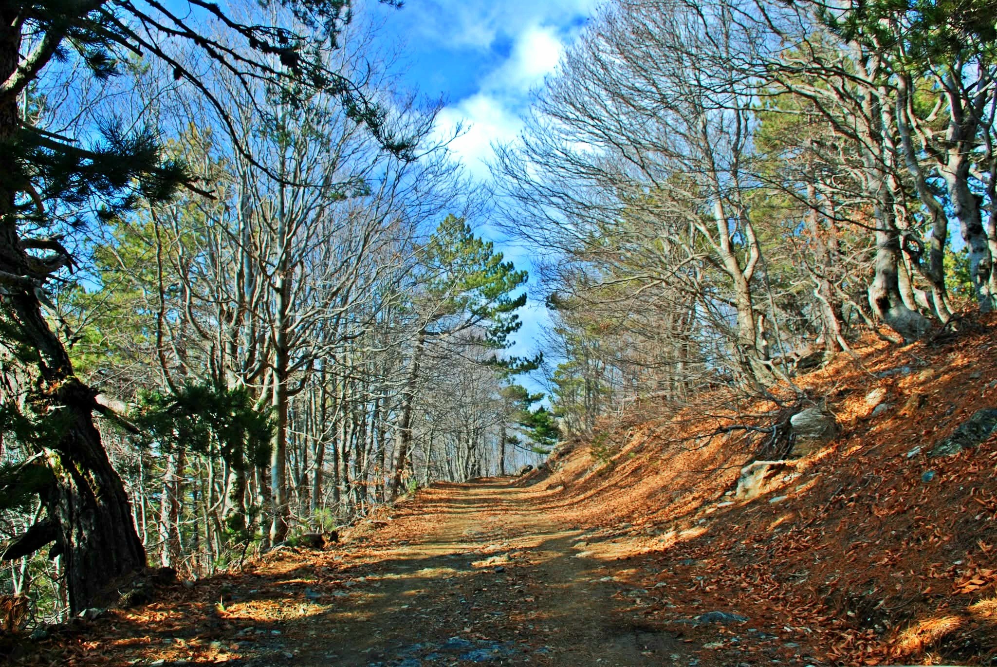 Zorkun Yaylası’nda Sonbaharın Renkleri Yerini Kış Güzelliğine Bıraktı (4)