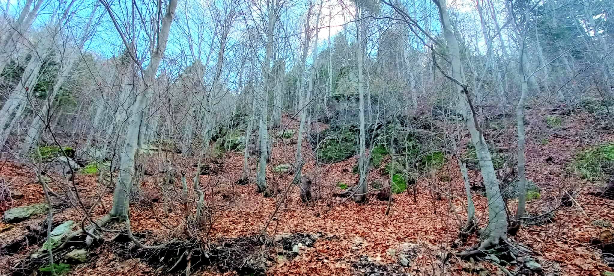 Zorkun Yaylası’nda Sonbaharın Renkleri Yerini Kış Güzelliğine Bıraktı (6)