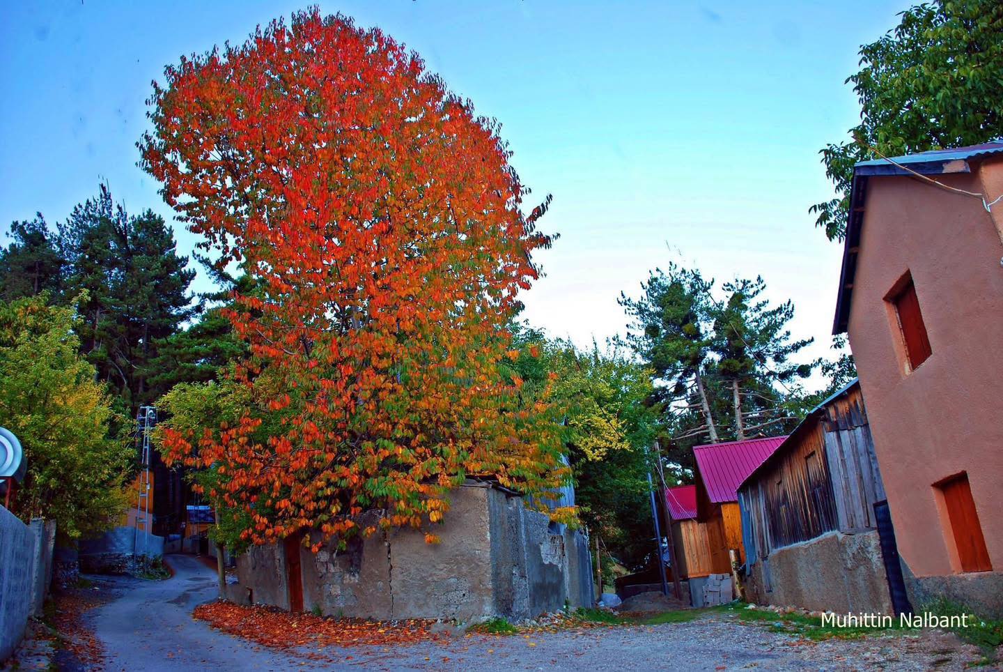 “Zorkun’da Sonbahar Renkleri Osmaniyelileri Büyüledi”1