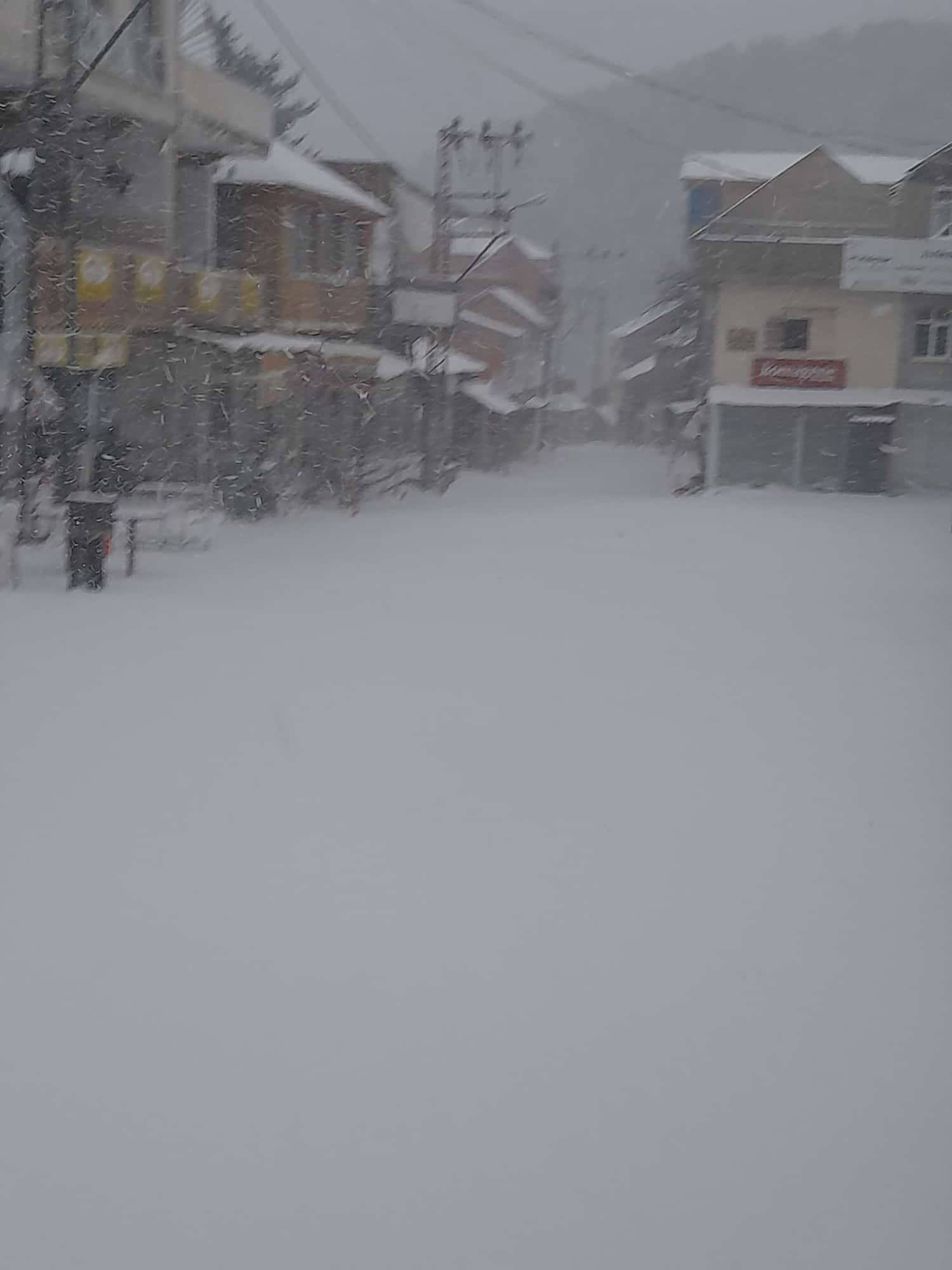 605540715 4256060751276513 5863083891317239827 N