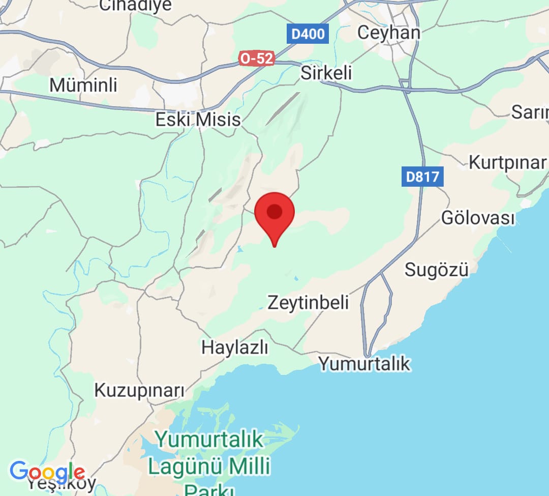 Adana’da 21 45’Te 3.5 Büyüklüğünde Deprem Paniğe Yol Açtı