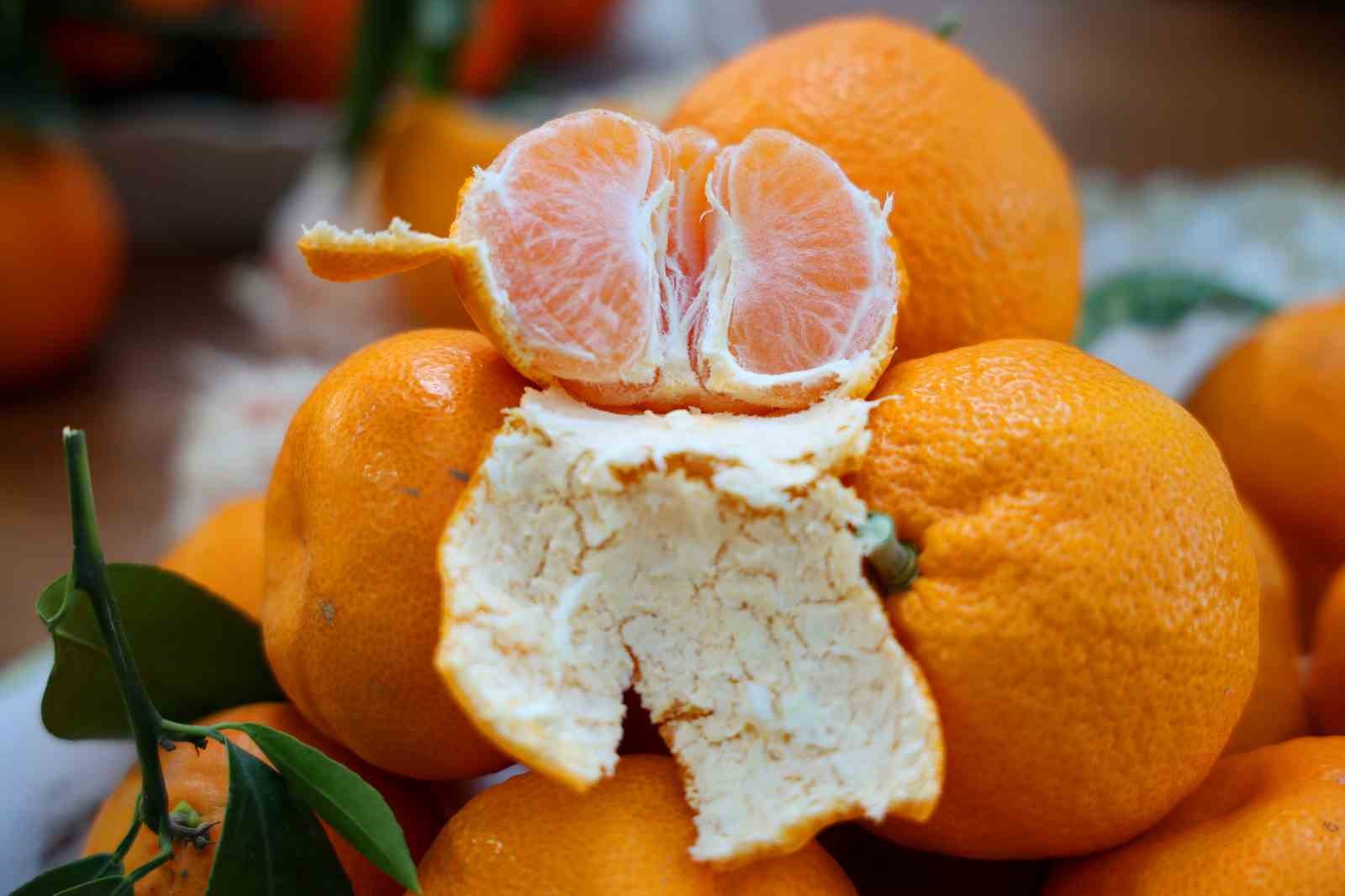 Adana’da Mandalina Fiyatları Üreticiyi Zorluyor (2)