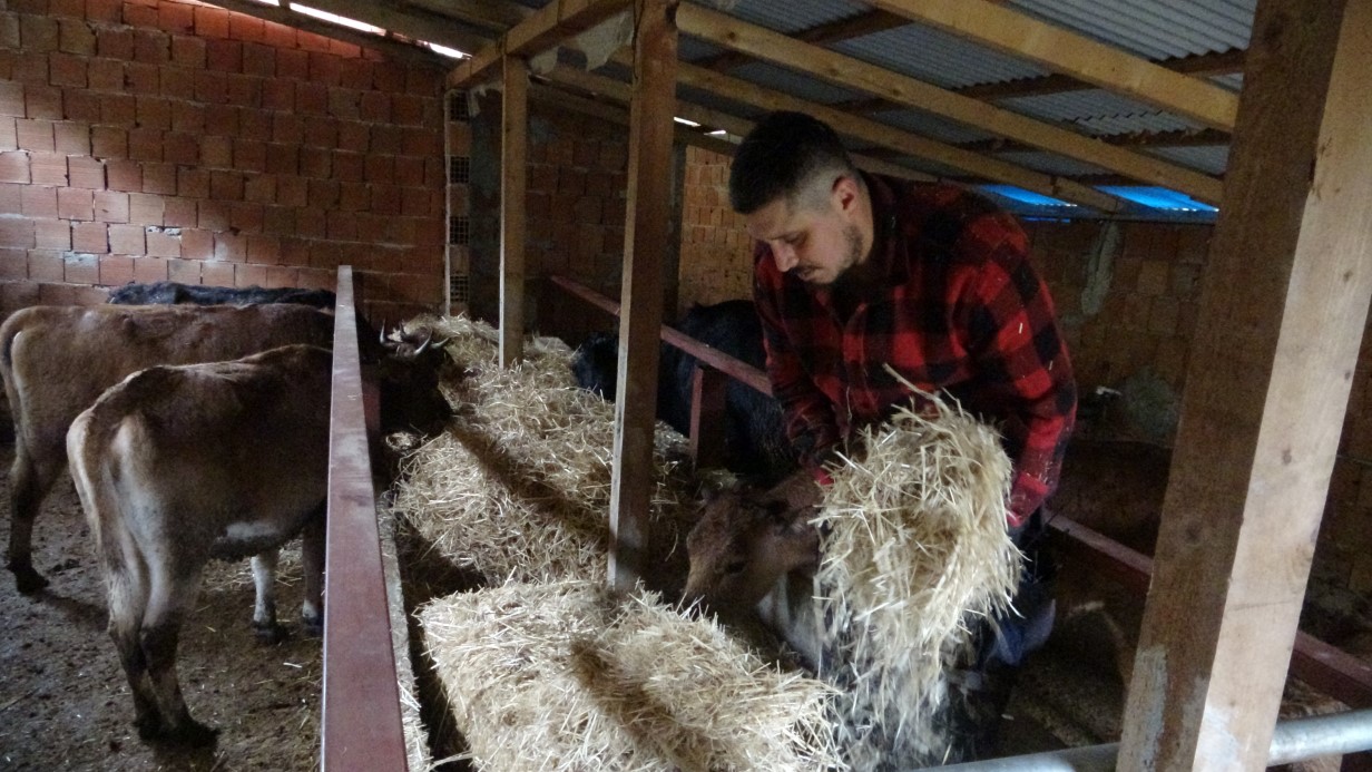 Almanya’dan Köyüne Döndü, Çobanlık Yapmaya Başladı