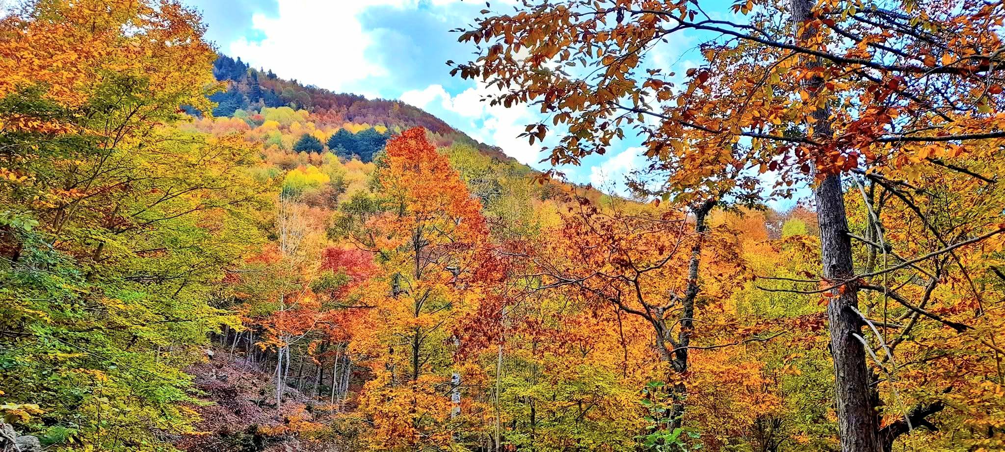 Çağşırlı Kabaörtlek Ve Gürdük’te Yıl Boyu Etkinlikler2
