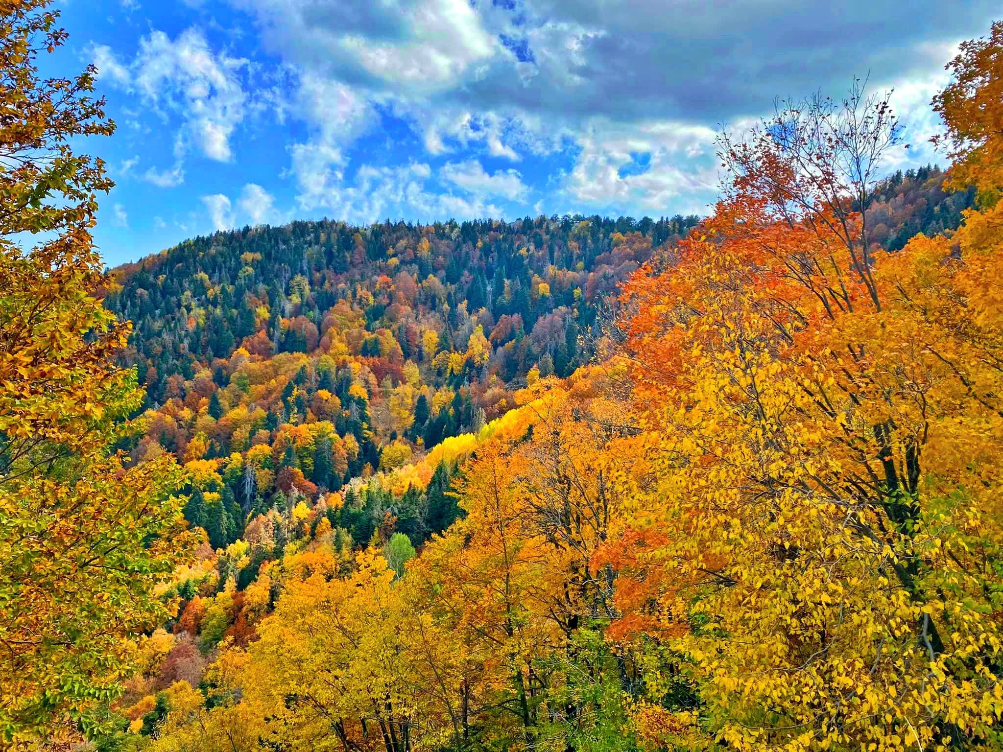 Çağşırlı Kabaörtlek Ve Gürdük’te Yıl Boyu Etkinlikler3