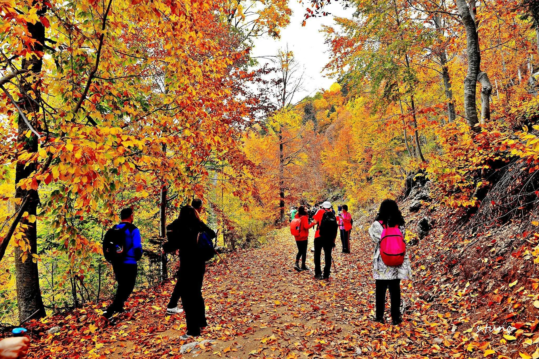 Çağşırlı Kabaörtlek Ve Gürdük’te Yıl Boyu Etkinlikler5