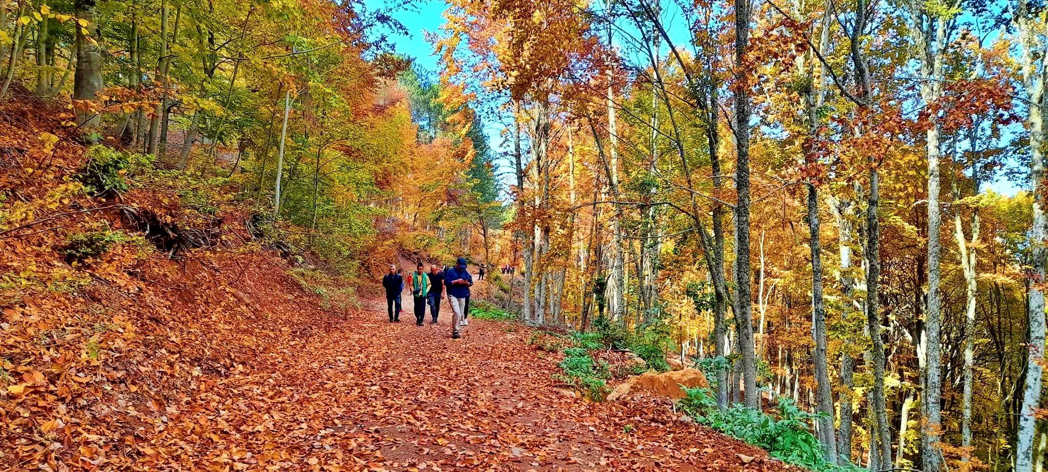 Çağşırlı Kabaörtlek Ve Gürdük’te Yıl Boyu Etkinlikler6