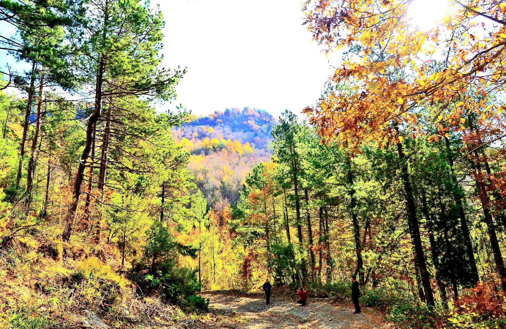 Çağşırlı Kabaörtlek Ve Gürdük’te Yıl Boyu Etkinlikler8