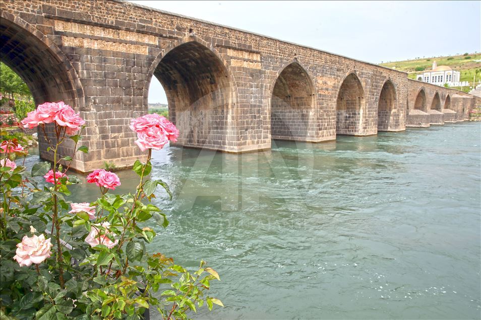 Dicle Nehri (2)-1