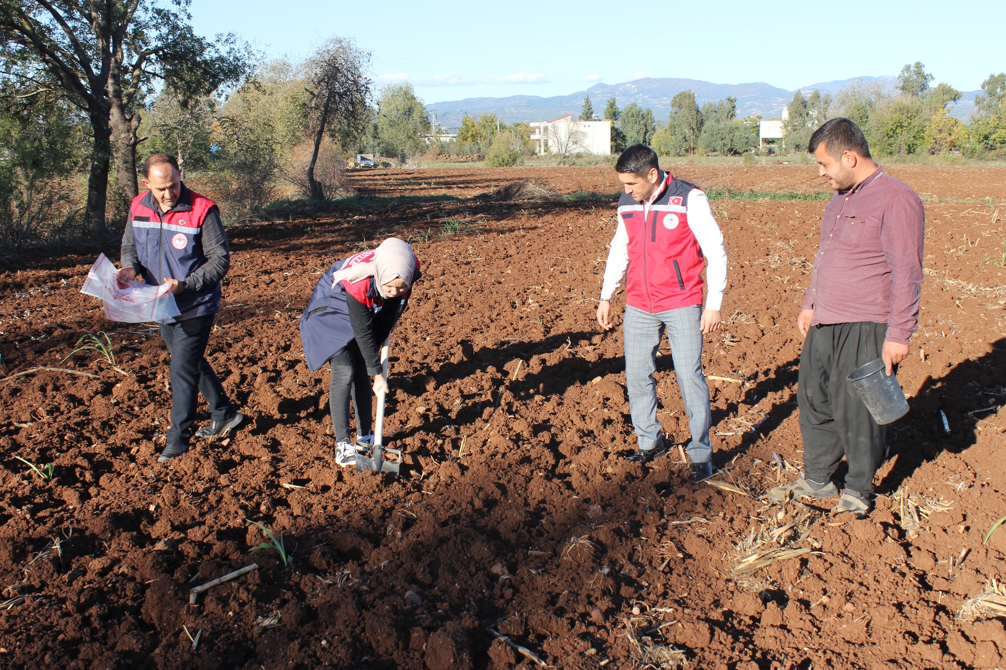 Düziçi’nde Buğday Ve Bezelye Tarlalarında Toprak Numunesi Alındı (1)