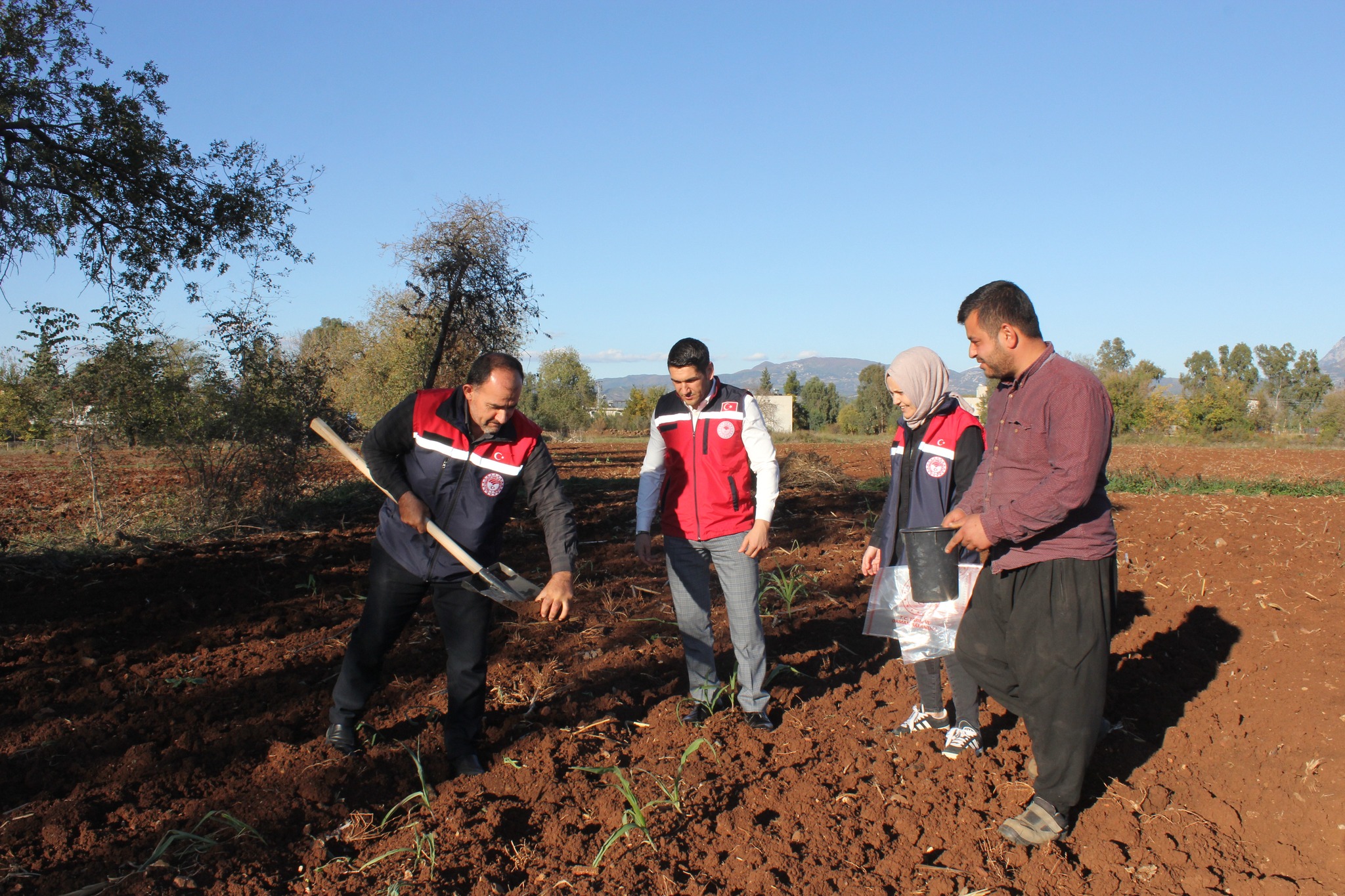 Düziçi’nde Buğday Ve Bezelye Tarlalarında Toprak Numunesi Alındı (2)