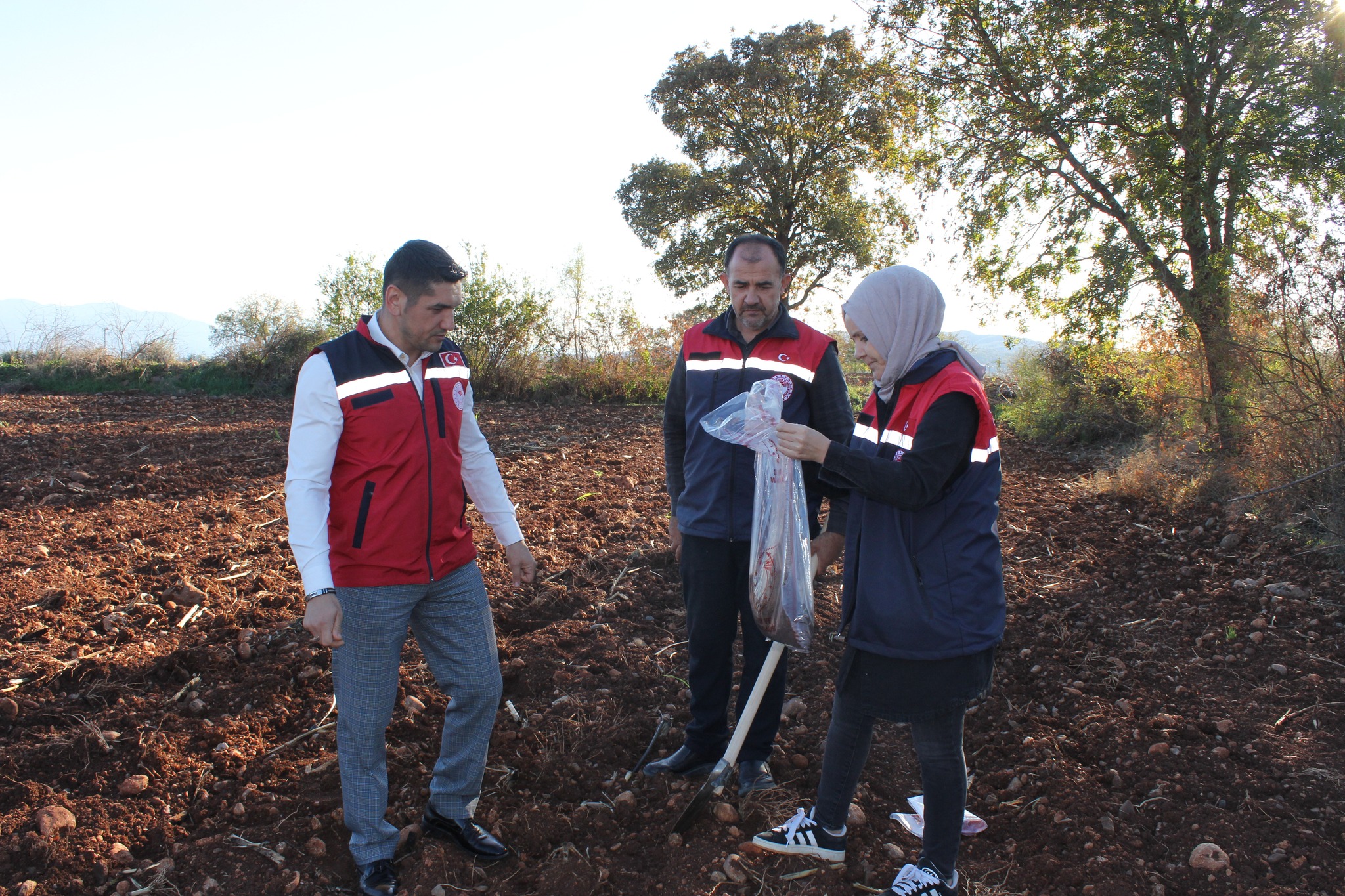 Düziçi’nde Buğday Ve Bezelye Tarlalarında Toprak Numunesi Alındı (5)