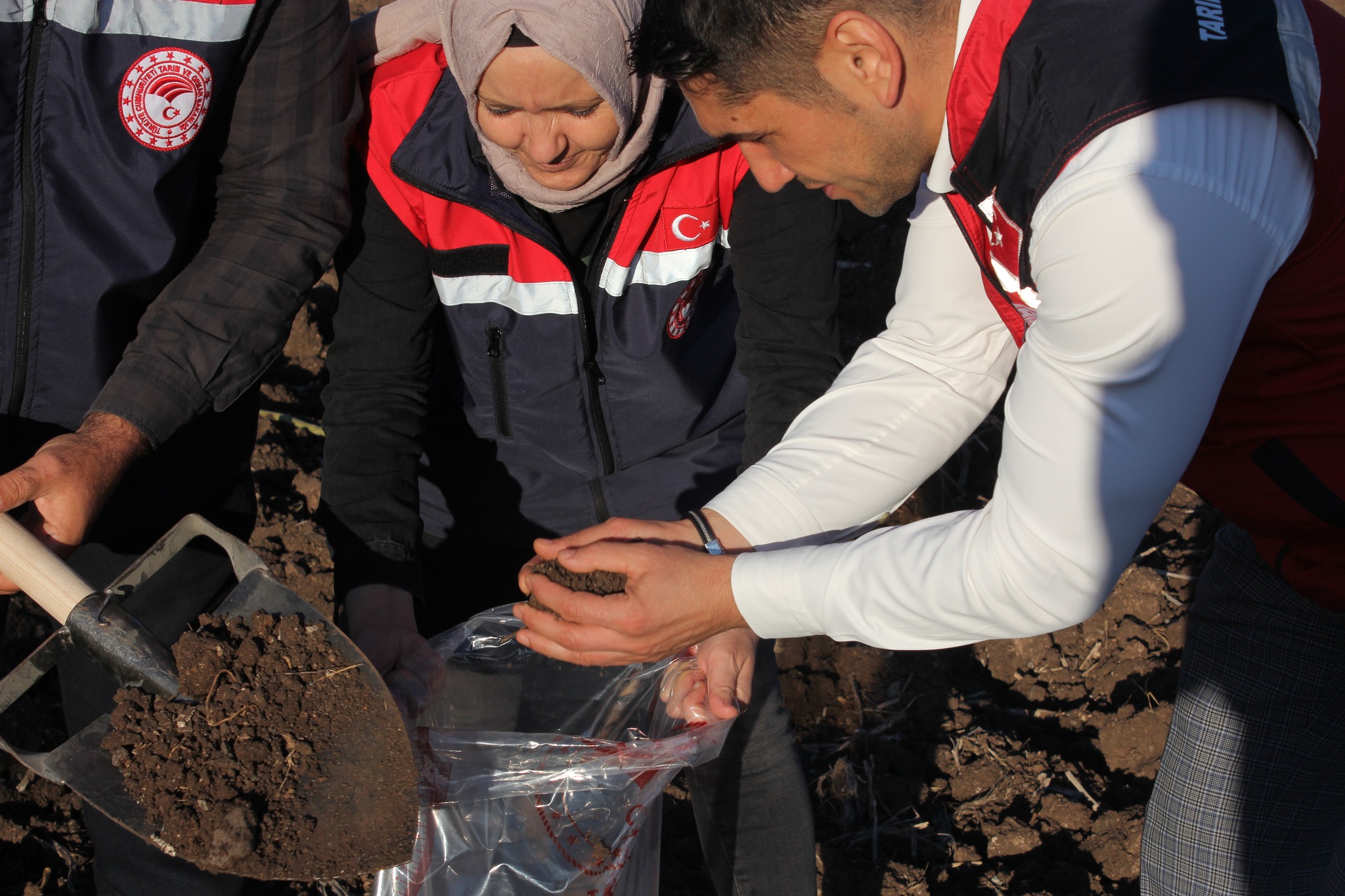 Düziçi’nde Buğday Ve Bezelye Tarlalarında Toprak Numunesi Alındı (7)