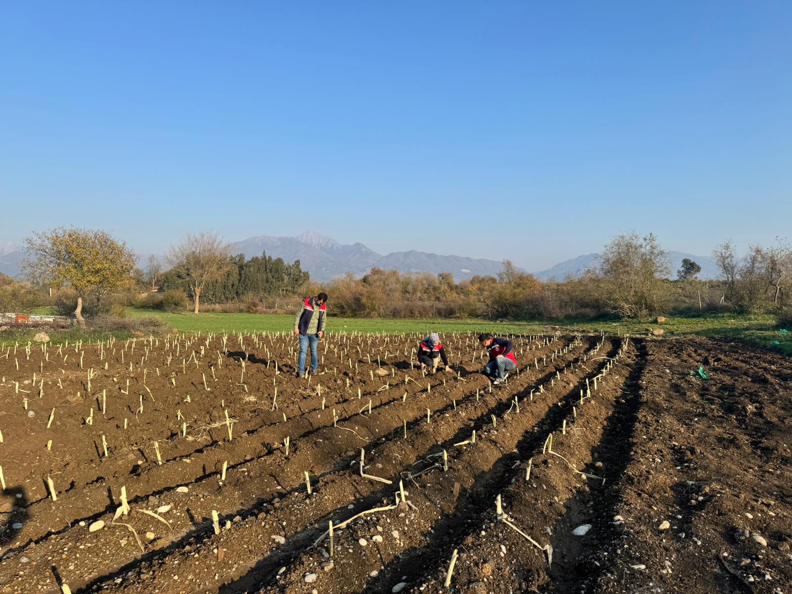 Düziçi’nde Ekim Kontrolleri Sürüyor (2)