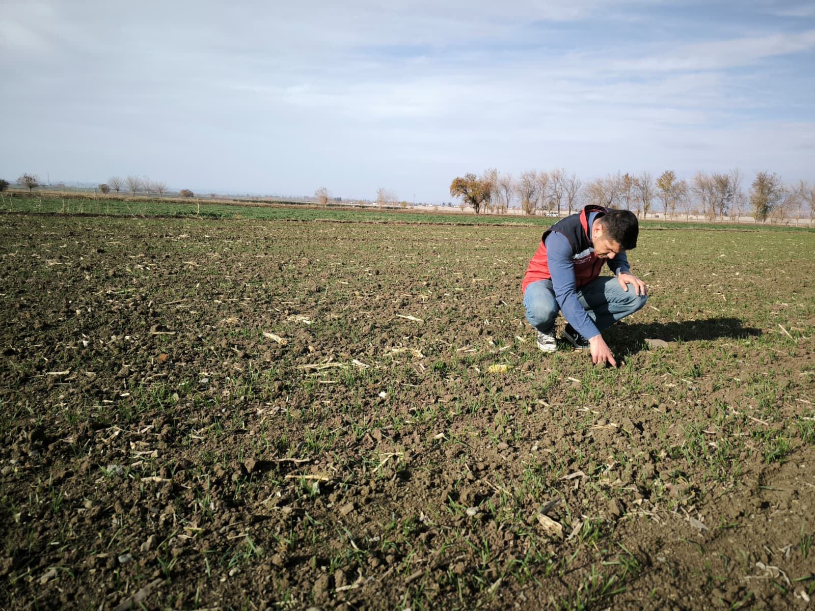Düziçi’nde Ekim Kontrolleri Sürüyor (4)