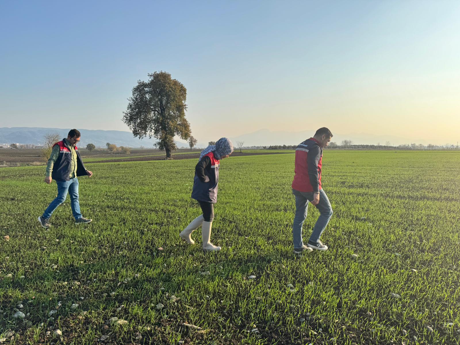 Düziçi’nde Ekim Kontrolleri Sürüyor (5)