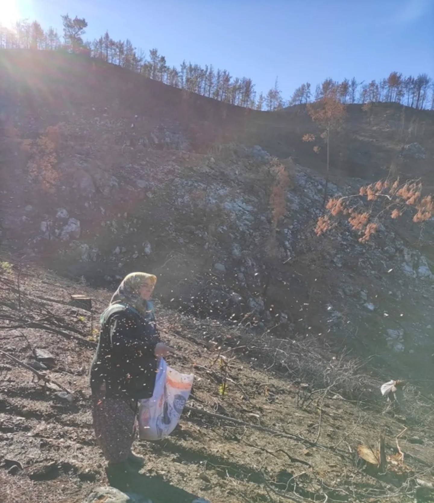 Gündoğmuş Orman İşletme Müdürlüğü