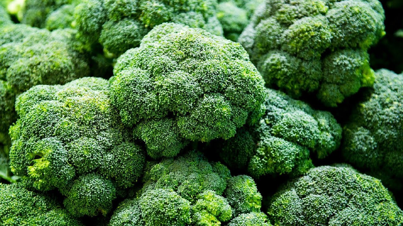 İznik’te Brokoli Tarladan Pazara 14 Kat Fiyat Farkı Yaşıyor2