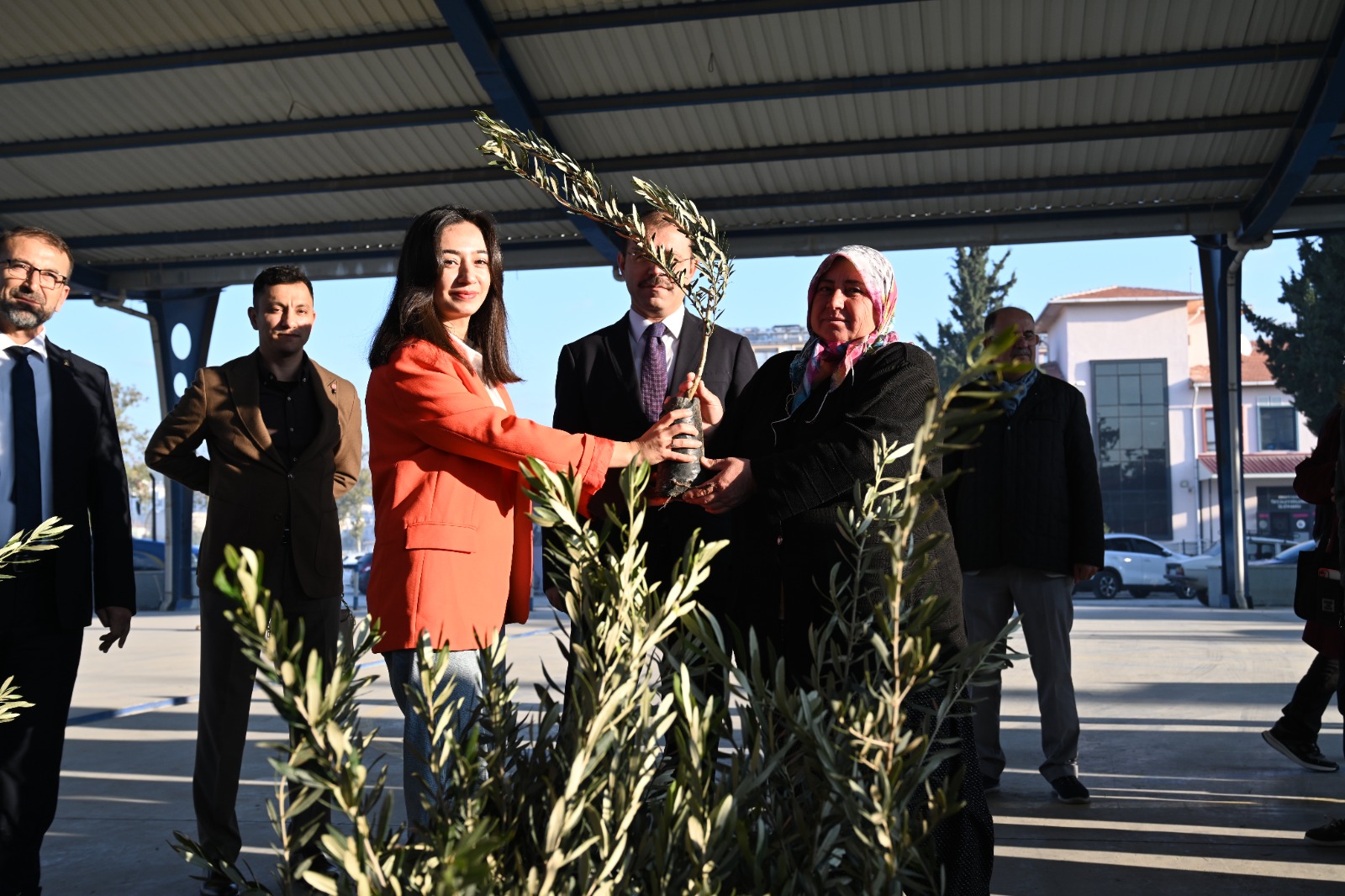 Kadirli’de 10 Bin Zeytin Fidanı Desteği (2)