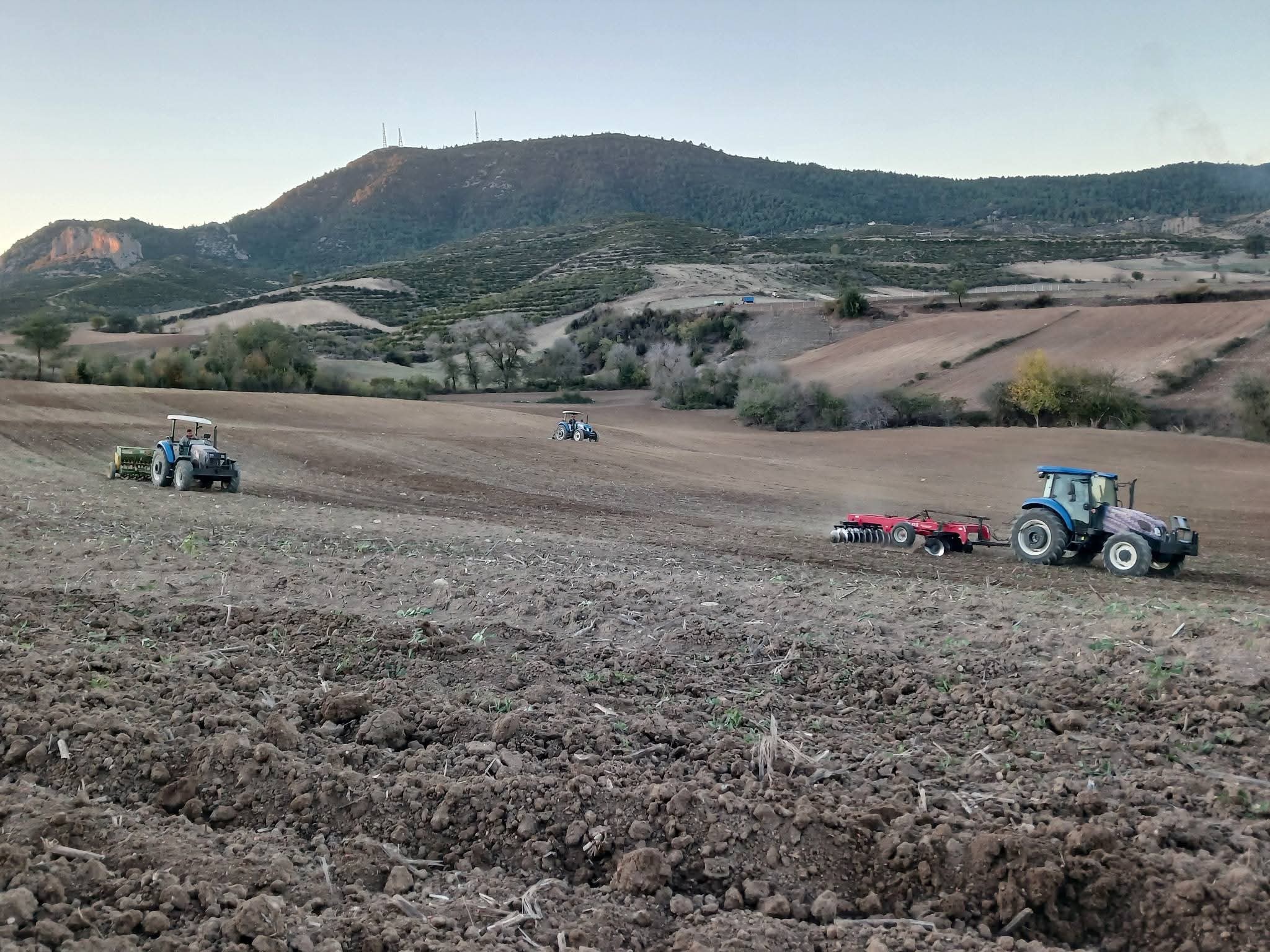 Kadirli’de Buğday Ekimine Başlandı (3)