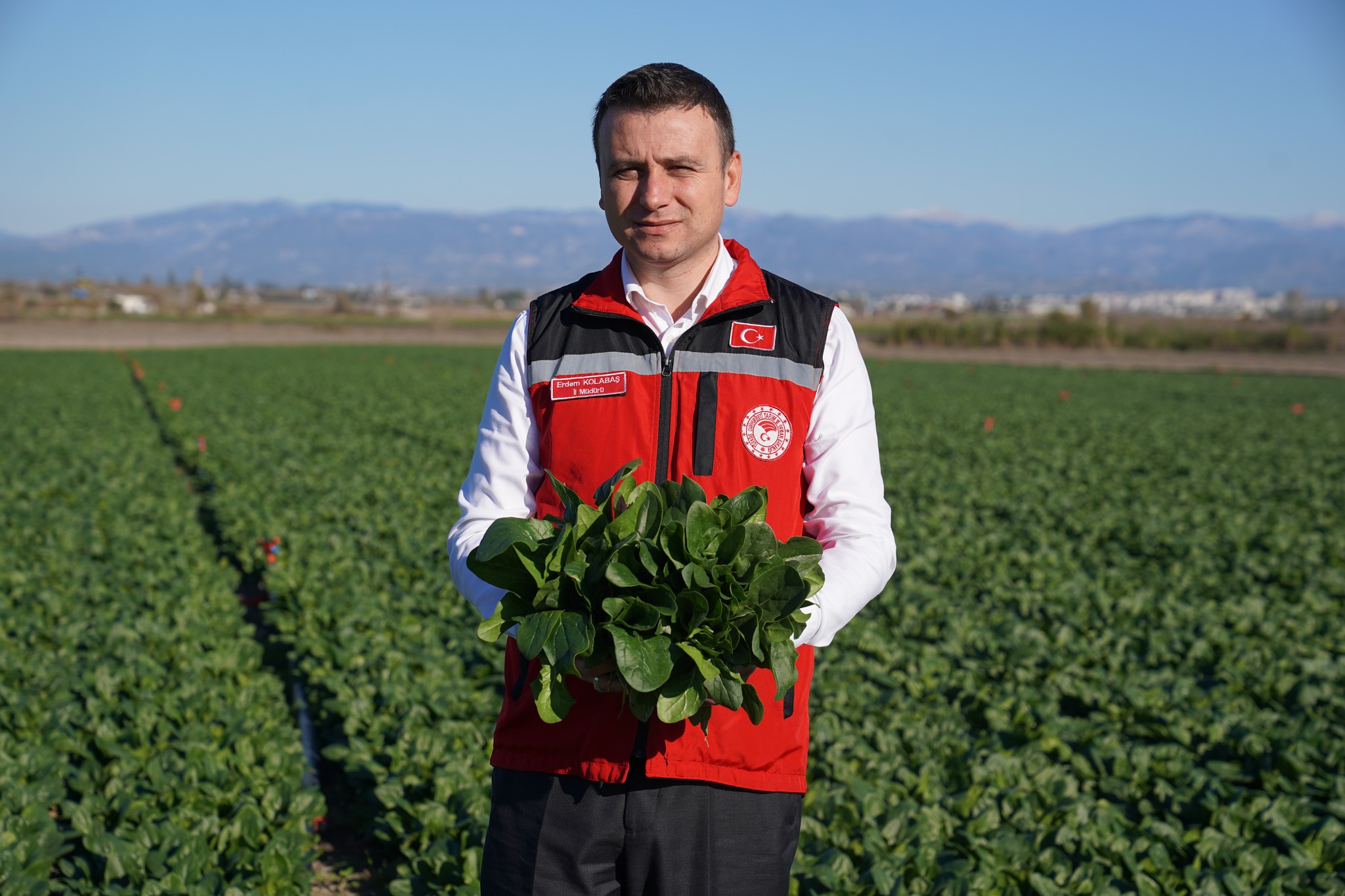 Kadirli’de Ispanak Hasat Töreni Osmaniye’de Coşkuyla Yapıldı10