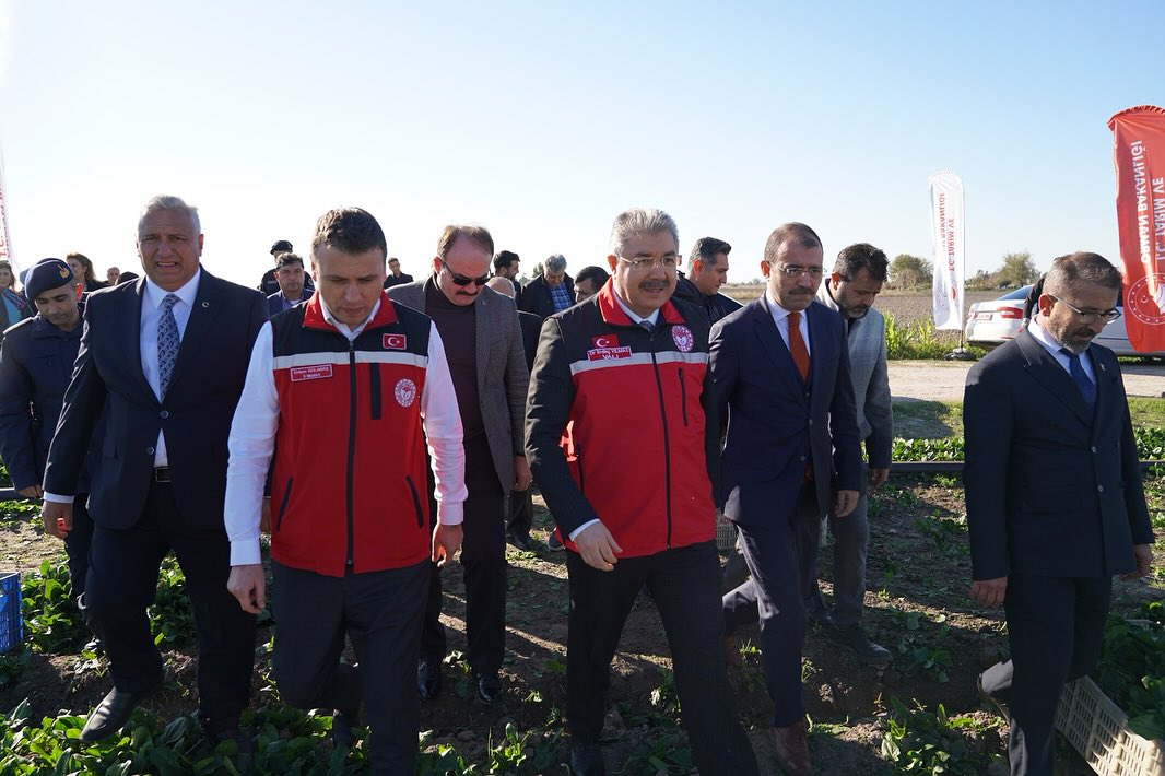 Kadirli’de Ispanak Hasat Töreni Osmaniye’de Coşkuyla Yapıldı4