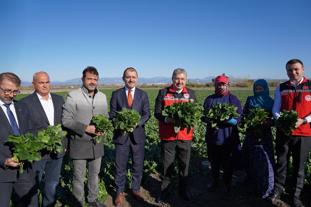 Kadirli’de Ispanak Hasat Töreni Osmaniye’de Coşkuyla Yapıldı6