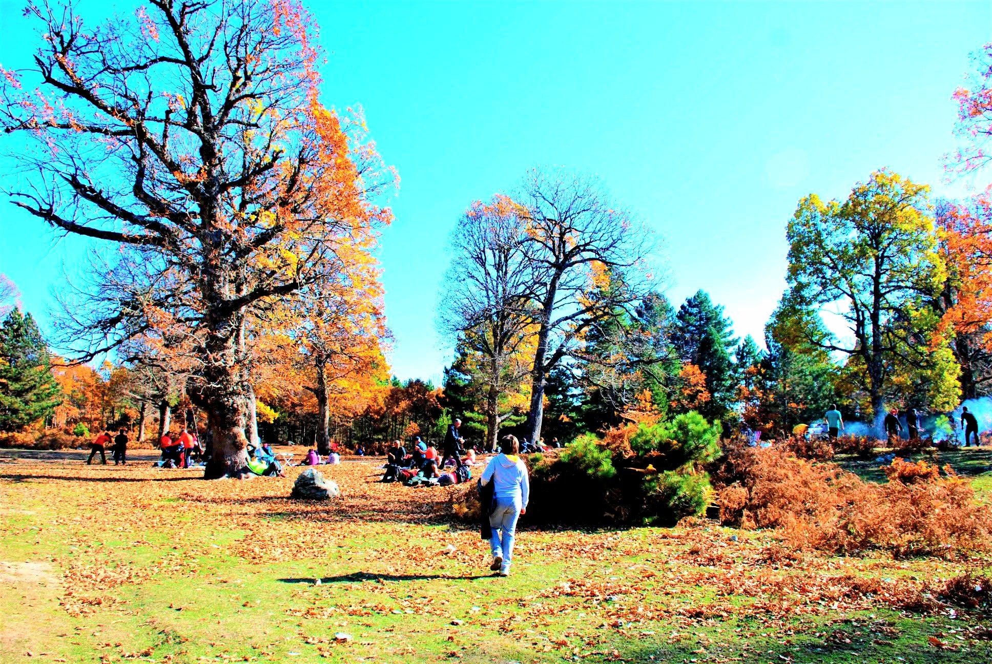 Osmaniye Küllü Köyü’nde Sonbahar Manzaraları Büyüledi2