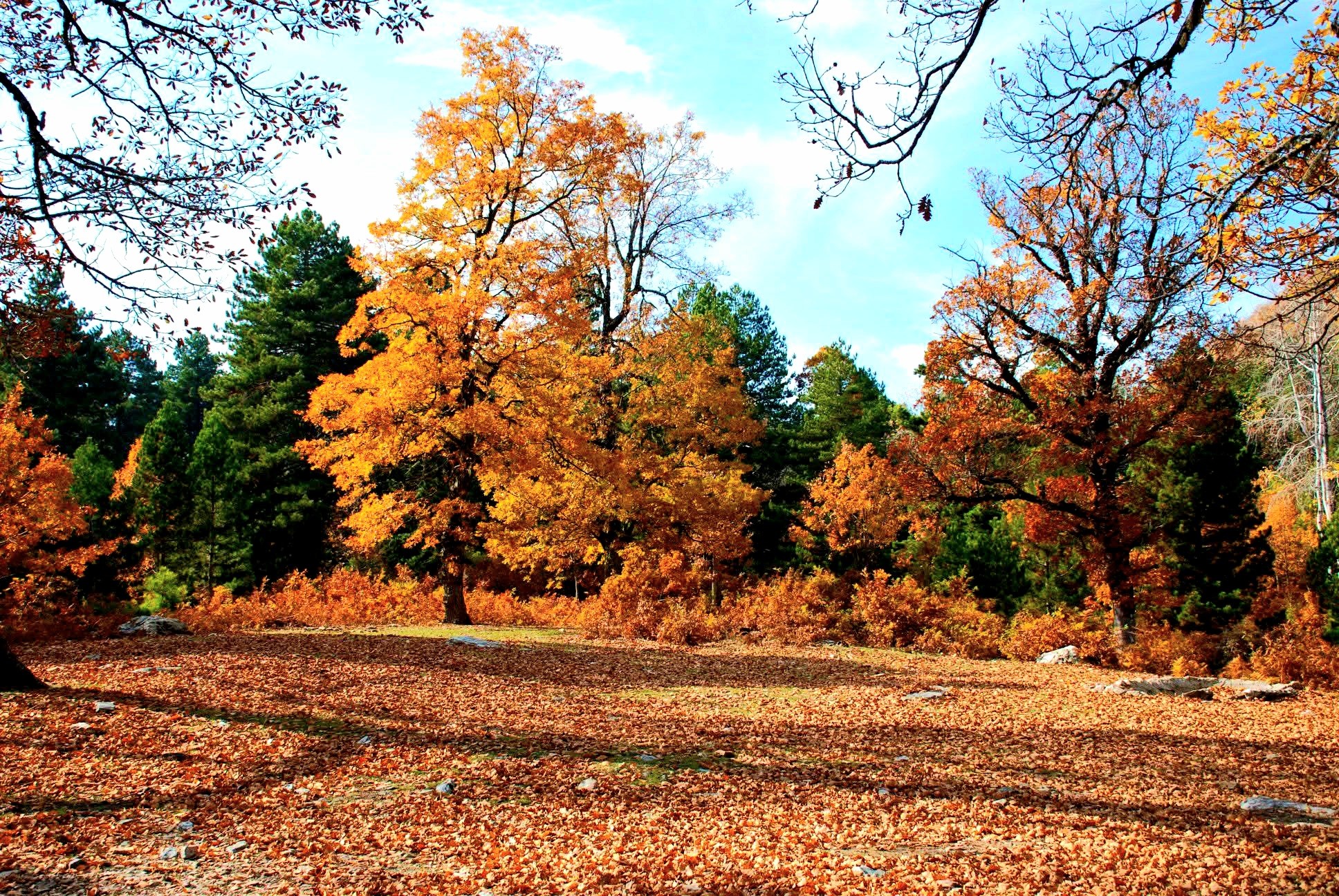 Osmaniye Küllü Köyü’nde Sonbahar Manzaraları Büyüledi5