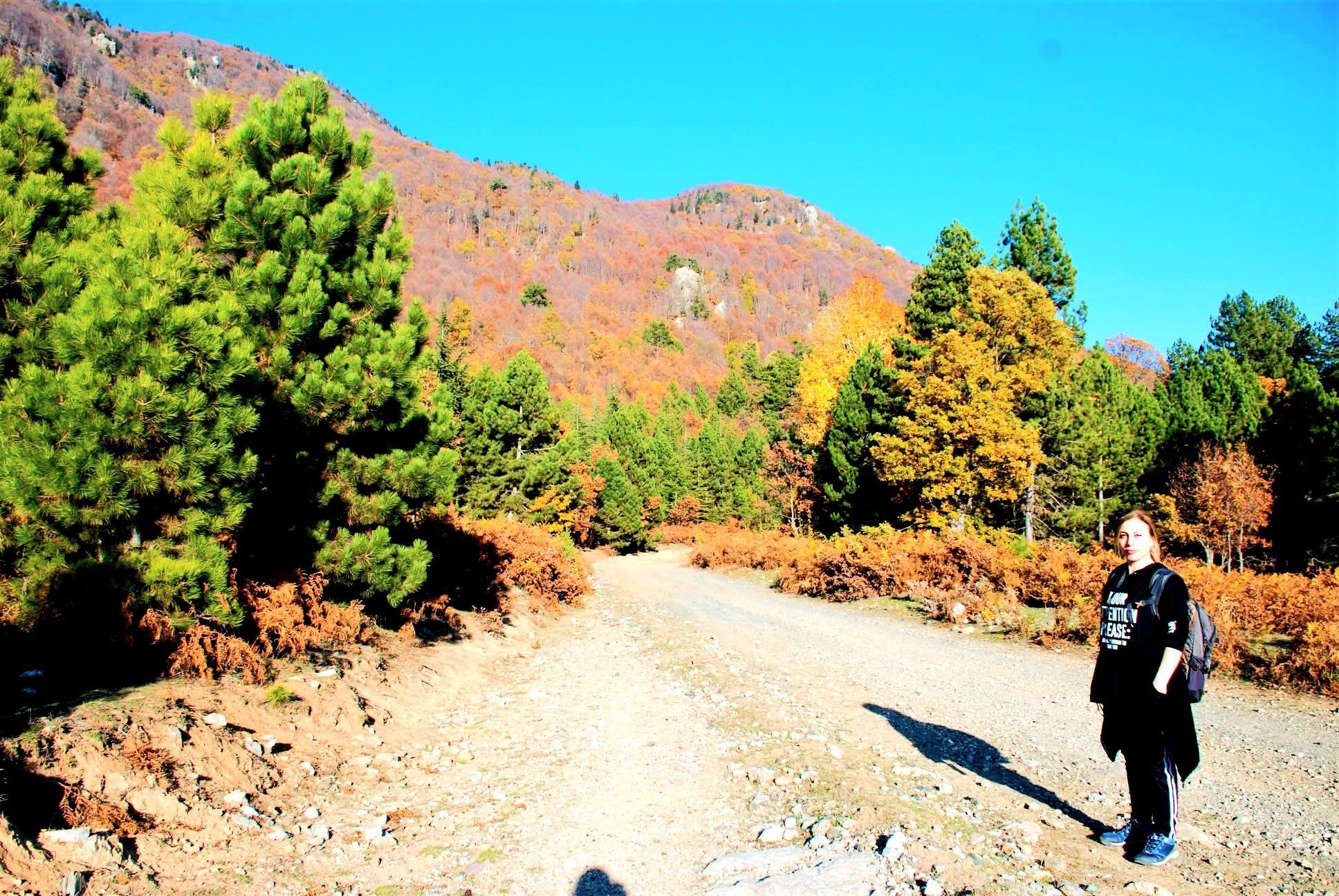 Osmaniye Küllü Köyü’nde Sonbahar Manzaraları Büyüledi6