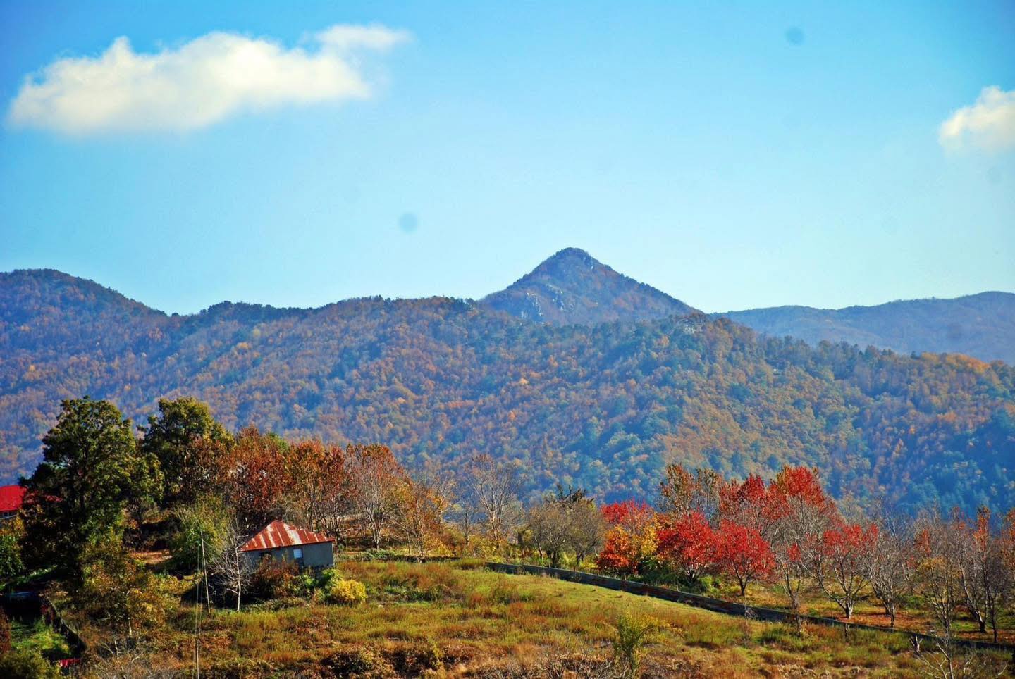 Osmaniye Küllü Köyü’nde Sonbahar Renkleri Büyülüyor3