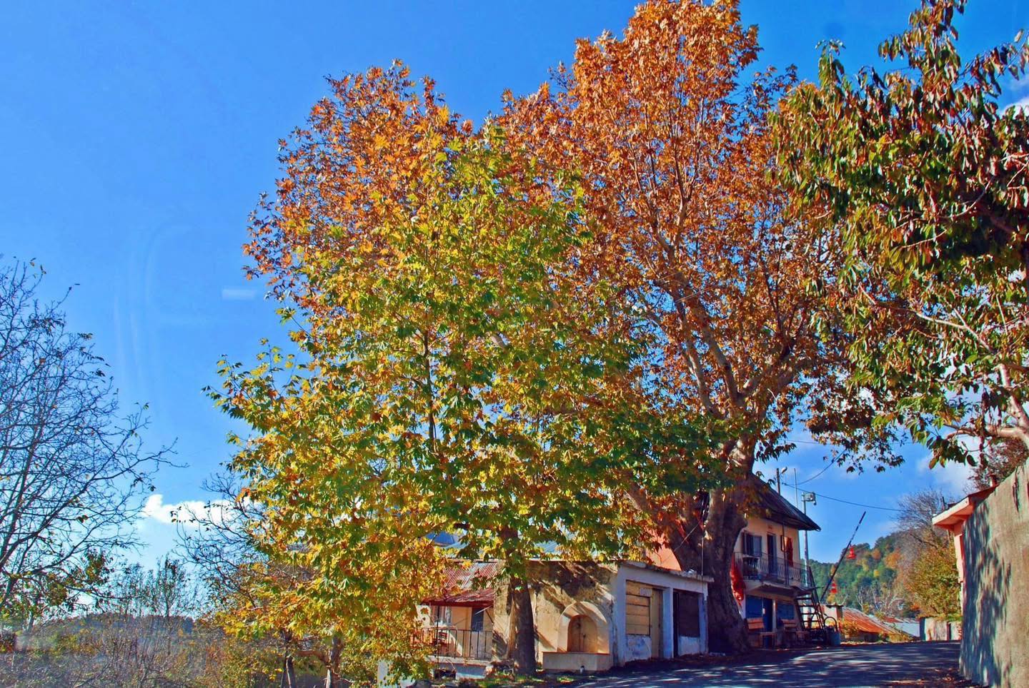 Osmaniye Küllü Köyü’nde Sonbahar Renkleri Büyülüyor5