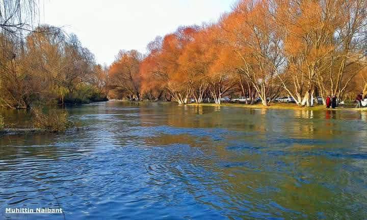 Osmaniye Yeniköy Kuş Cenneti Büyülemeye Devam Ediyor2