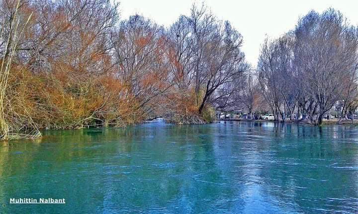 Osmaniye Yeniköy Kuş Cenneti Büyülemeye Devam Ediyor3