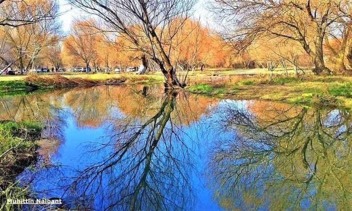 Osmaniye Yeniköy Kuş Cenneti Büyülemeye Devam Ediyor4