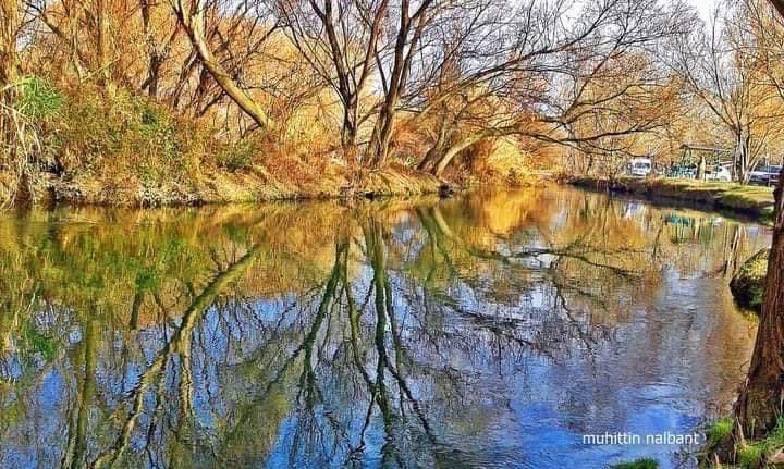 Osmaniye Yeniköy Kuş Cenneti Büyülemeye Devam Ediyor5