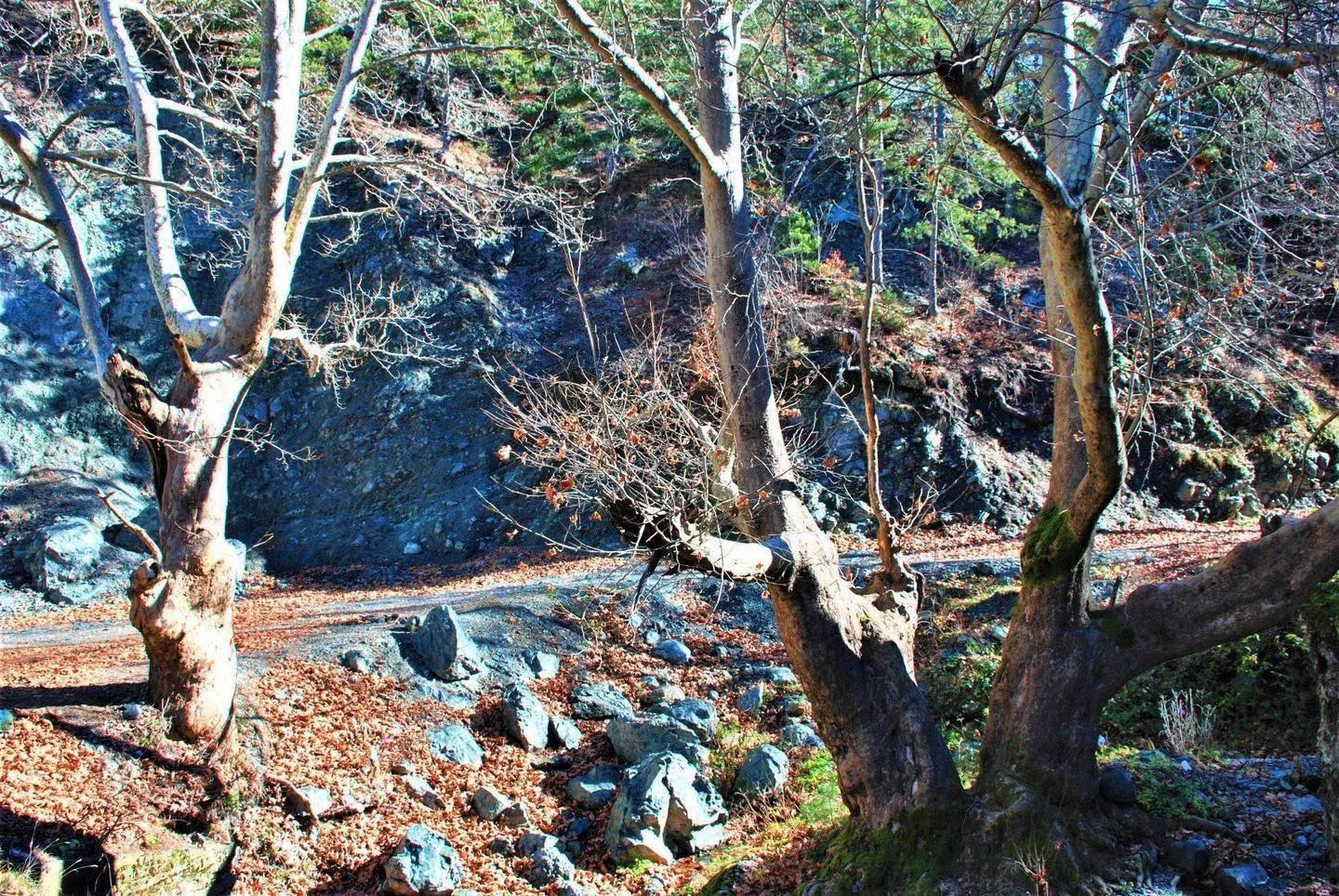 Osmaniye Zorkun Yaylası’nda Doğanın Kalbi Çataloluk4