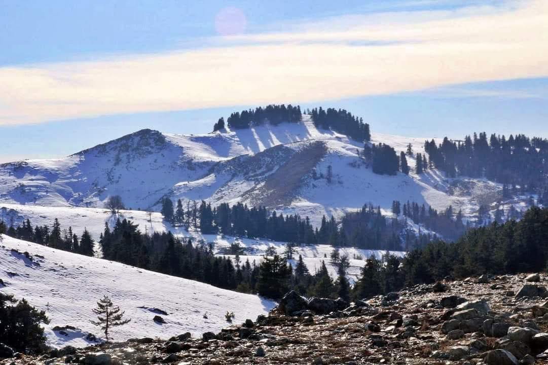Osmaniye’de Kuru Ayazın Kaynağı Yine Zorkun Yaylası2