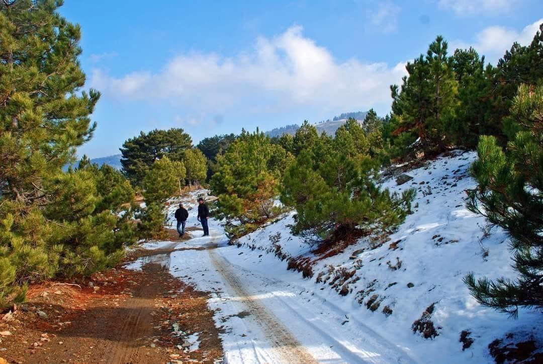 Osmaniye’de Kuru Ayazın Kaynağı Yine Zorkun Yaylası3