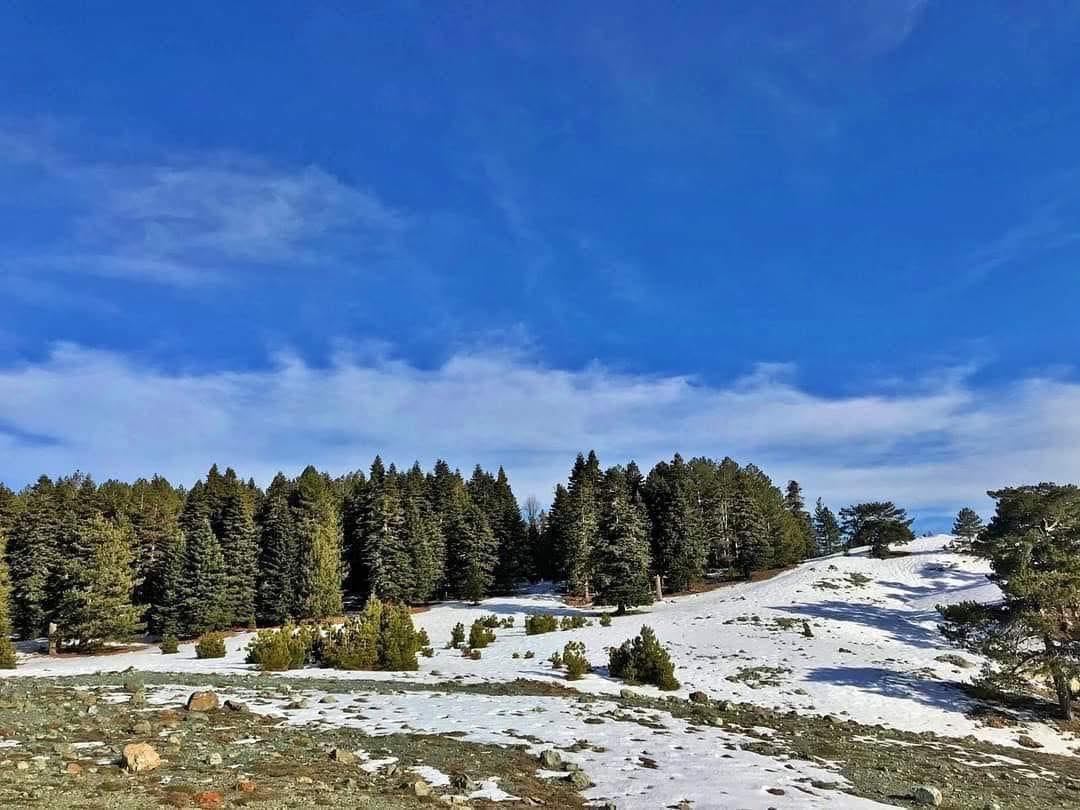 Osmaniye’de Kuru Ayazın Kaynağı Yine Zorkun Yaylası5