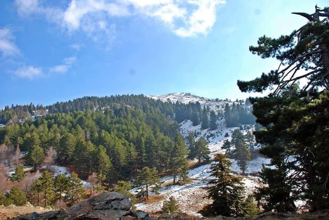Osmaniye’de Kuru Ayazın Kaynağı Yine Zorkun Yaylası6