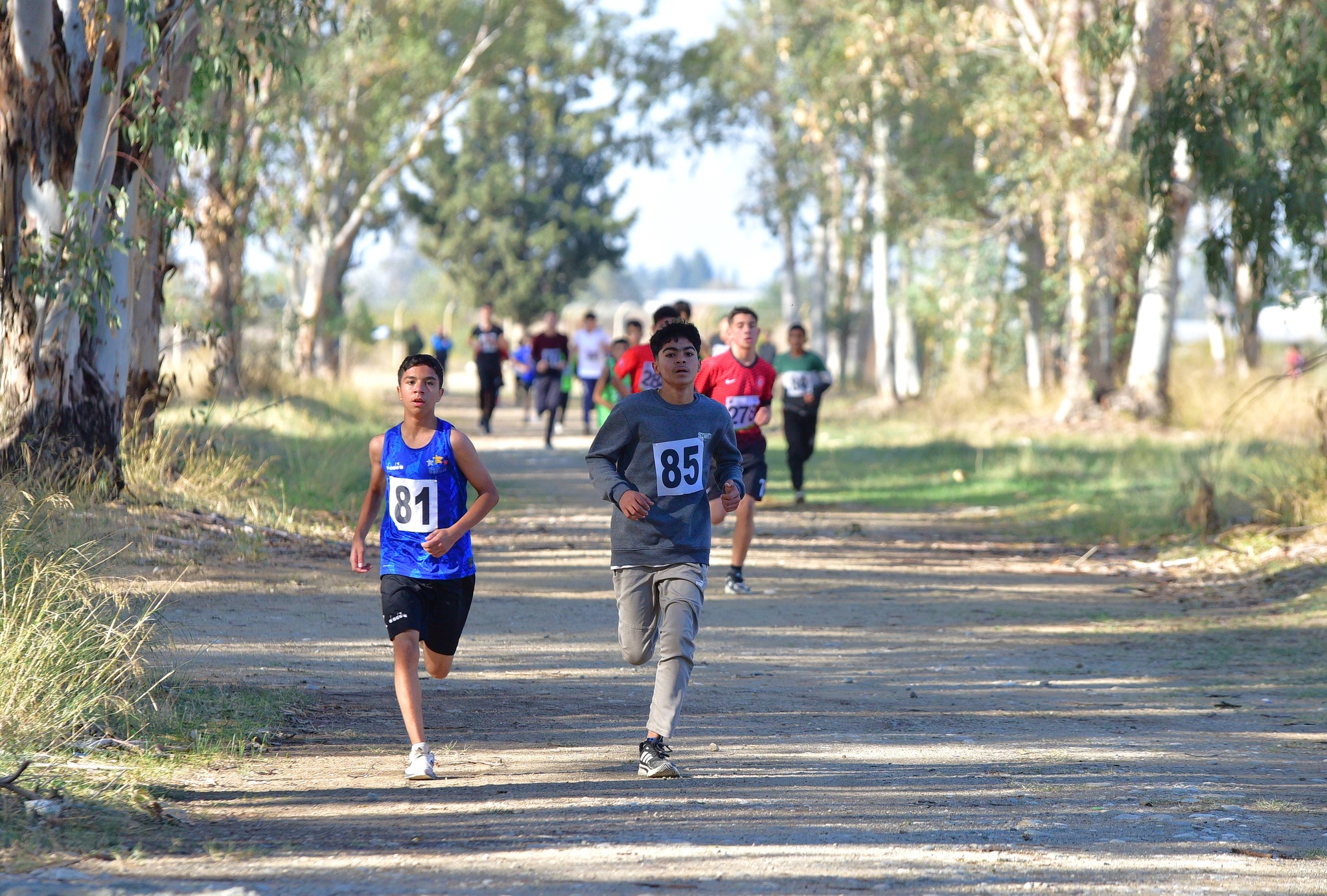 Osmaniye’de Okul Sporları Kros Müsabakaları Tamamlandı (2)