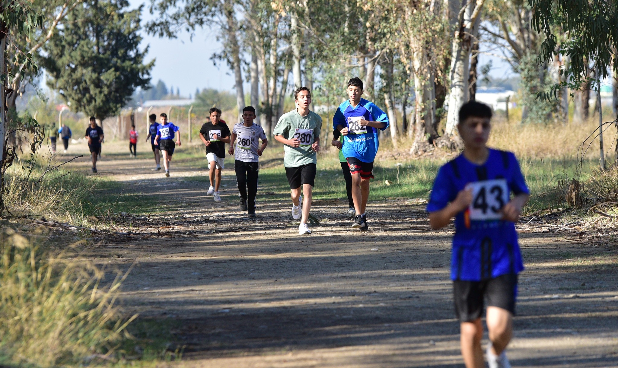 Osmaniye’de Okul Sporları Kros Müsabakaları Tamamlandı (3)