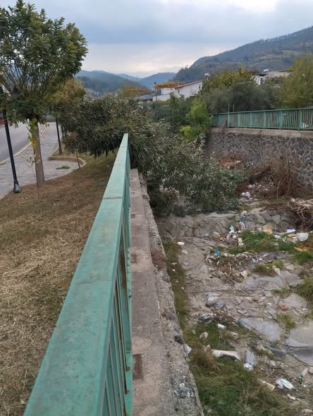 Rüzgar Ağaç Yikti (2)