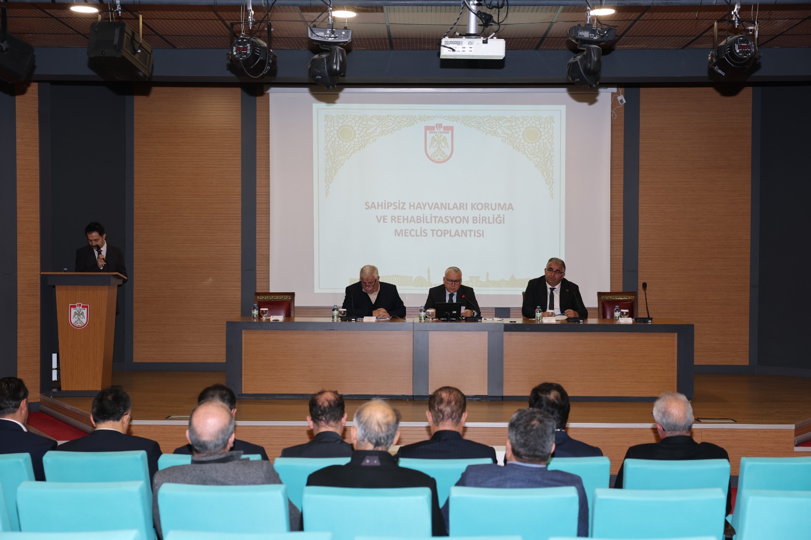 Sivas’ta Sahipsiz Hayvanlar Gündemde (1)